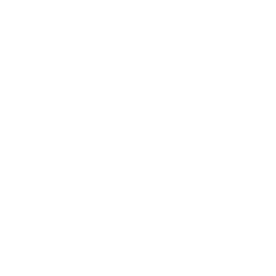 ROKAPENIS