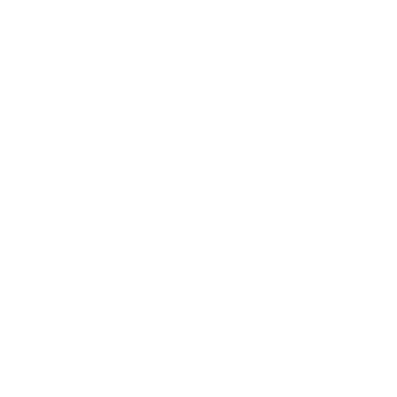 SHINTARO NISHIHASHI
