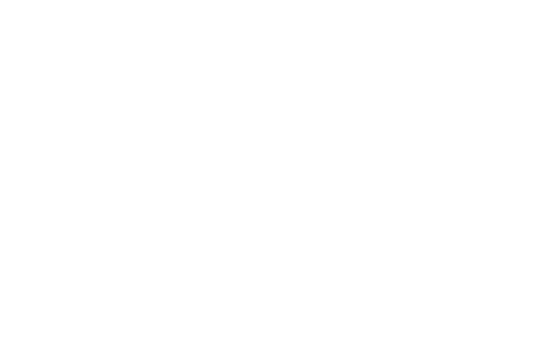 Nigamushi