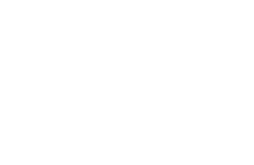 81Bastards