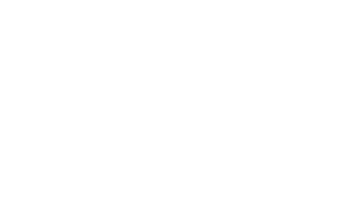 ROKAPENIS