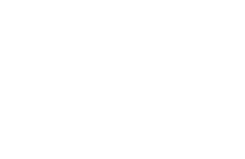 #BCTION Cake