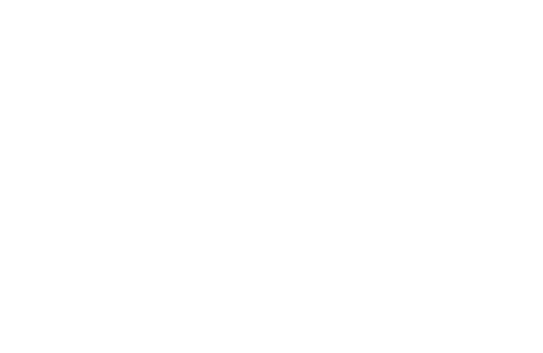 Skate